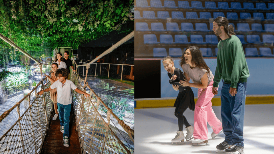 Dubai Aquarium and Underwater Zoo Silver Pass + Dubai Ice Rink