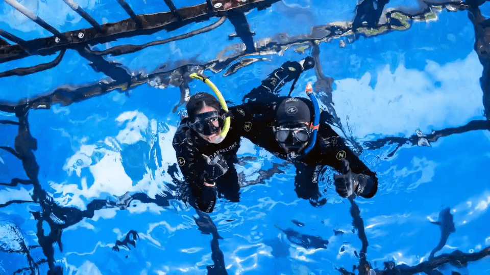 Dubai Aquarium & Underwater Zoo Cage Snorkelling new