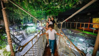 Dubai Aquarium & Underwater Zoo - Regular Pass