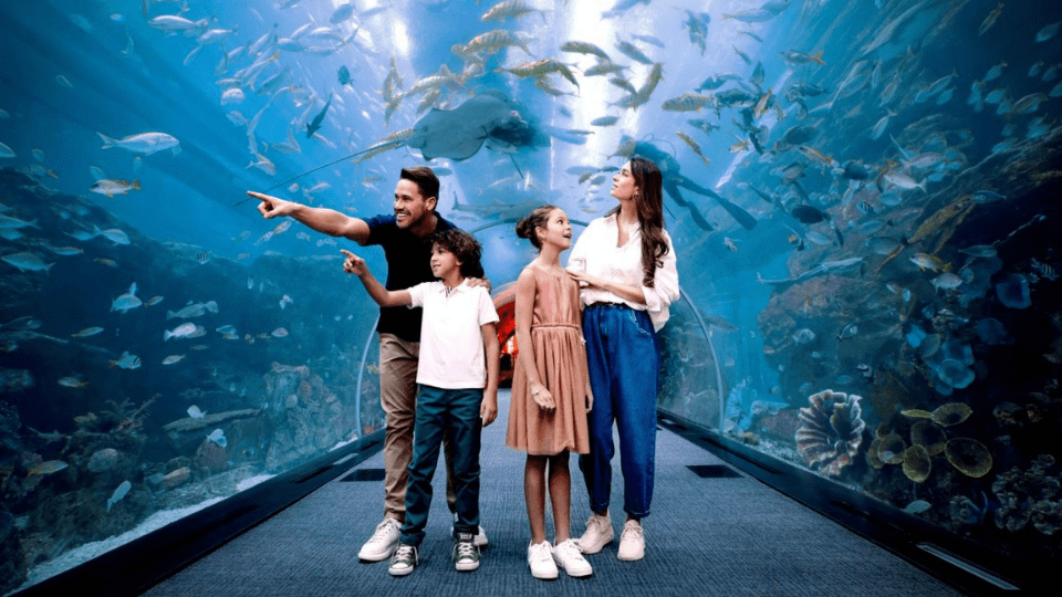 Dubai Aquarium & Underwater Zoo - Gold