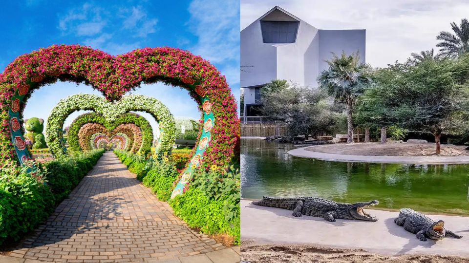 Dubai Crocodile Park + Miracle Garden - Combo Dubai Crocodile Park + Miracle Garden - Combo
