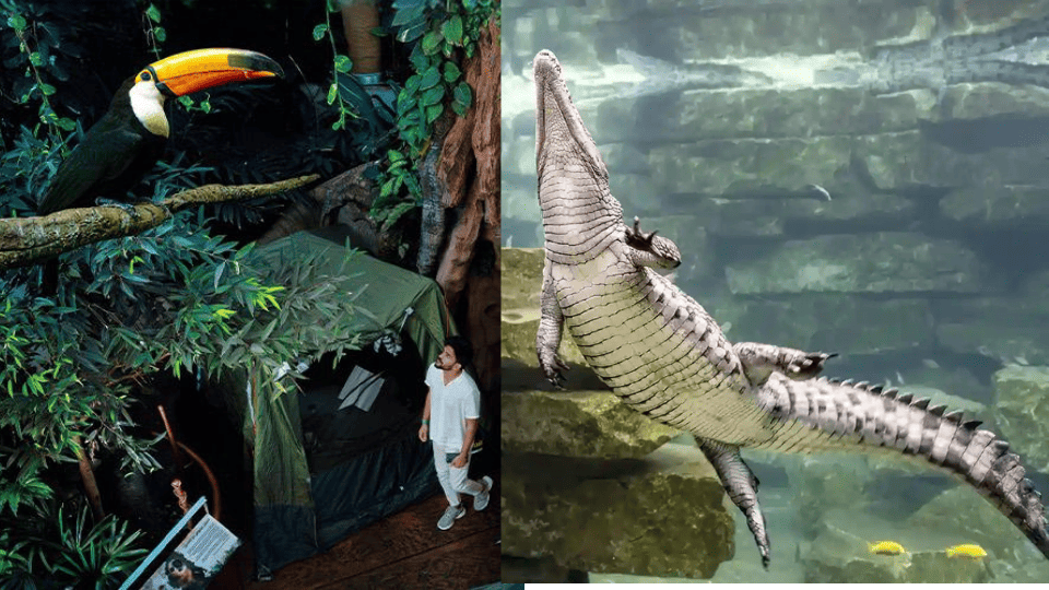 Dubai Crocodile Park + The Green Planet - Combo Dubai Crocodile Park + The Green Planet - Combo