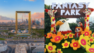 Dubai Frame + Dubai Garden Glow - Combo