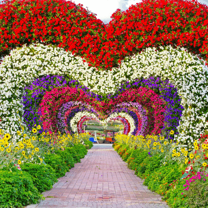 أنشطة في الهواء الطلق أنشطة في الهواء الطلق