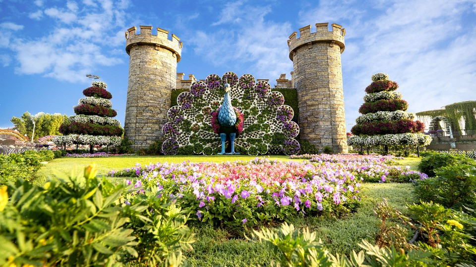 Dubai Miracle Garden