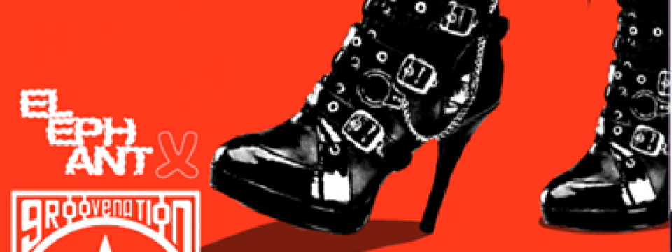 Elephant: Groovenation