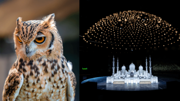 Emirates Park Zoo + Free Light and Peace museum Emirates Park Zoo + Free Light and Peace museum