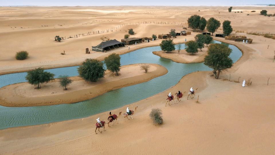 Evening Luxury Heritage Safari at Al Marmoom Bedouin Experience
