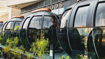 Exclusive 2 Course Festive Lunch - The Pods