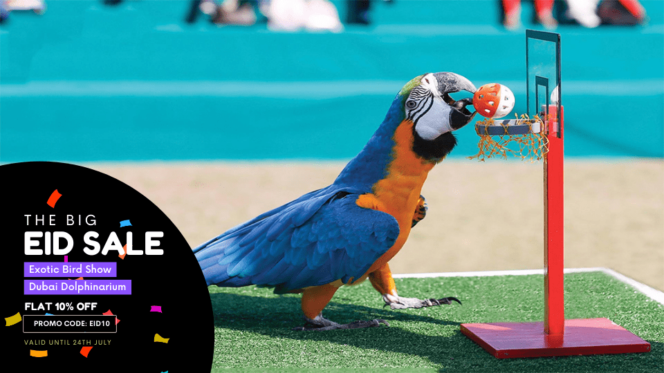 Tickets to Exotic Bird Show Dubai Dolphinarium