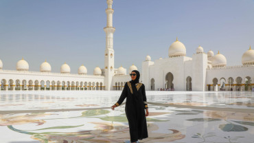 Abu Dhabi Private City Tour from Dubai with Transfers