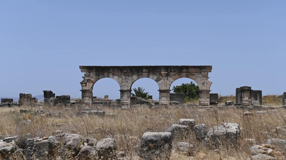 Fez Medina Guided Walking Tour in Morocco