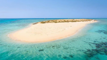 From Sharm: White Island and Ras Mohamed Snorkeling Trip