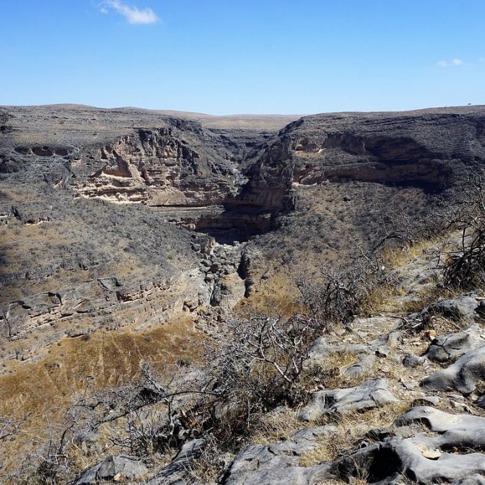 Sightseeing and Tours