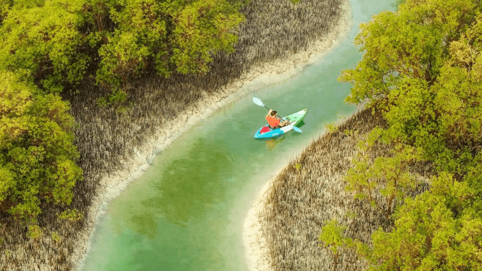Guided Kayak Tour in the Reem Central Park Mangroves Tickets Best