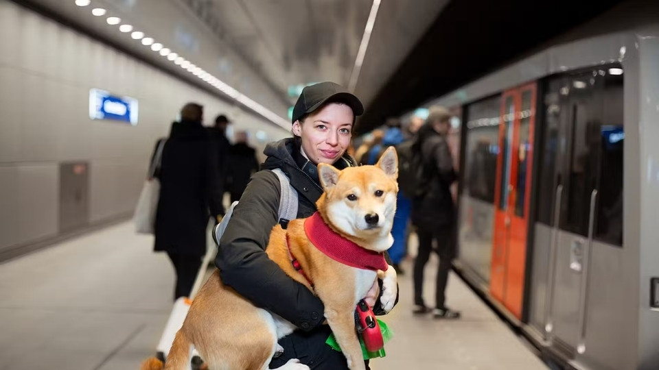 GVB Amsterdam: Public Transport by Tram, Bus, and Metro GVB Amsterdam: Public Transport by Tram, Bus, and Metro