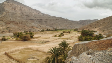 Half-Day Mountain Safari to Jabel Harim Half-Day Mountain Safari to Jabel Harim