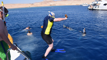 Half-day Snorkeling Boat trip with lunch and drinks from Sharm El Sheikh Half-day Snorkeling Boat trip with lunch and drinks from Sharm El Sheikh
