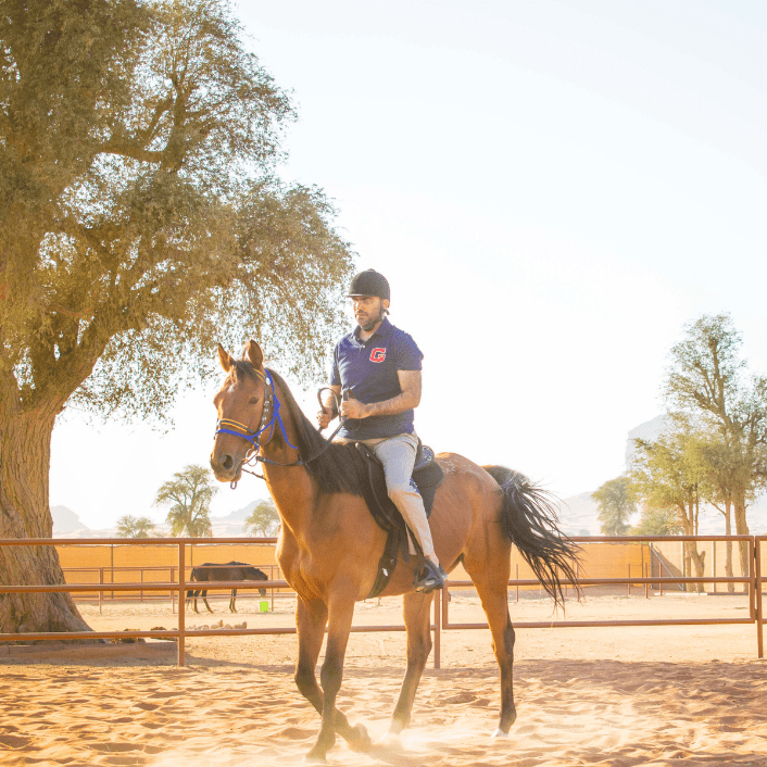 Специальные предложения аттракционов