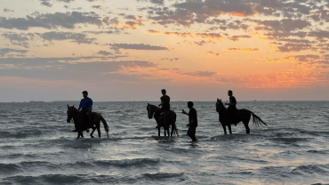 تجربة ركوب الخيل في جدة تجربة ركوب الخيل في جدة