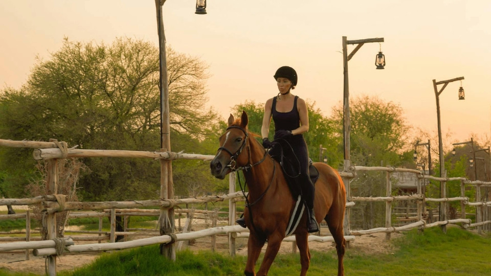 Horse Riding with Open Buffet Dinner & Shows