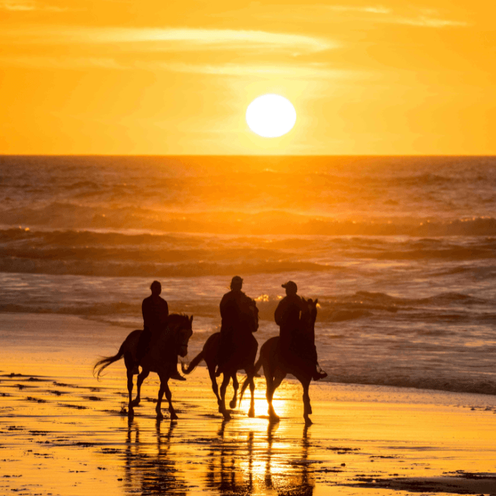 التجارب المضافة حديثًا