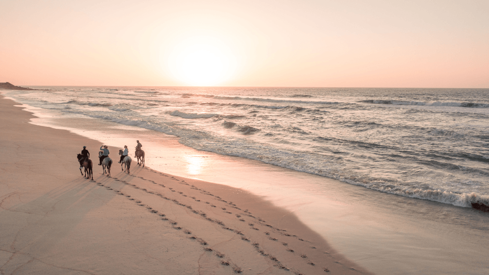 Horseback Ride at Le Ranch des Dunes, Dakhla
