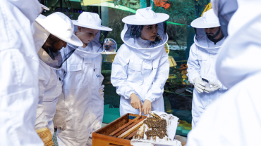 Inside the Hive Experience at Expo City Dubai