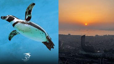 Istanbul Aquarium + Sky View + Sky Walk - Combo