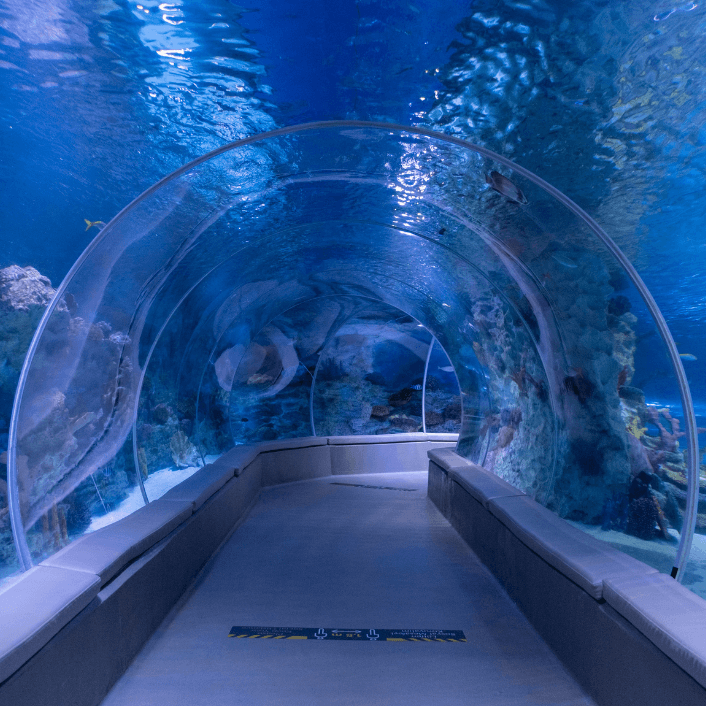 Indoor Attractions Indoor Attractions