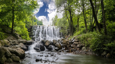 Istanbul: Sapanca, Masukiye, Mahmudiye Day Trip with Lunch Istanbul: Sapanca, Masukiye, Mahmudiye Day Trip with Lunch