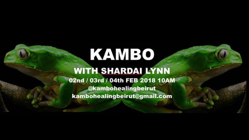 Kambo Healing circle Beirut