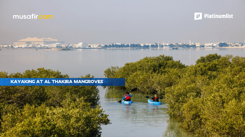 Kayaking at Al Thakira Mangroves 2026 Qatar