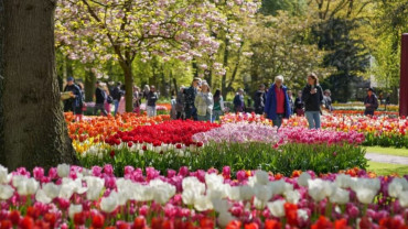 Keukenhof Gardens with transport Keukenhof Gardens with transport