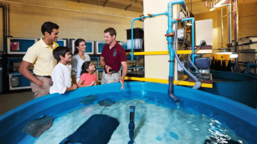 Lost World General Admission + Interactive Trident + Behind the scenes tour