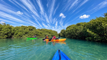 Mangrove Kayak Tour in Sanad Beach