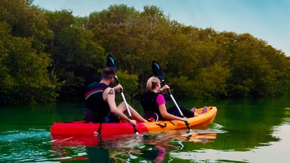 Mangroves Kayaking at Purple Island - Qool Qatar