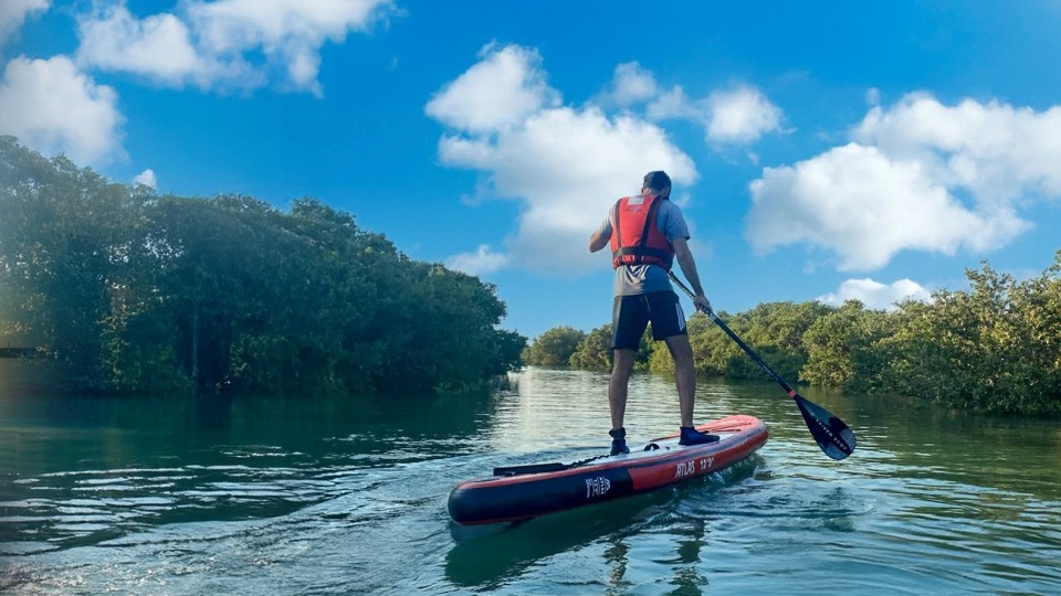 Mangroves paddleboarding at Purple Island - Qool Qatar Mangroves paddleboarding at Purple Island - Qool Qatar
