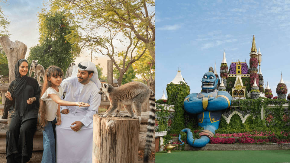 Miracle Garden + Dubai Safari Park - Combo