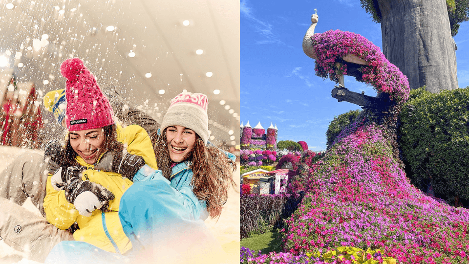 Miracle Garden + Ski Dubai - Combo