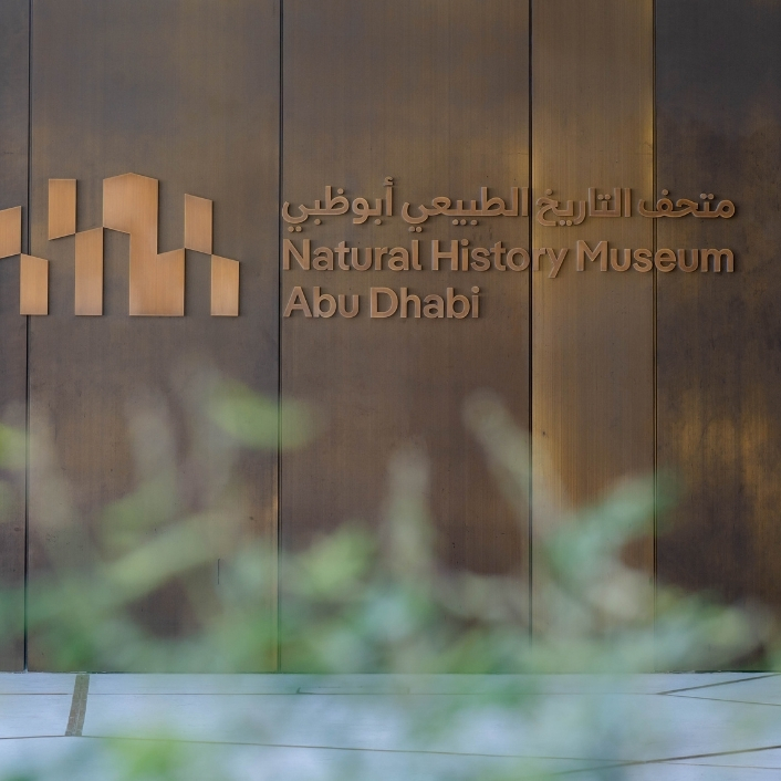 المتاحف المتاحف