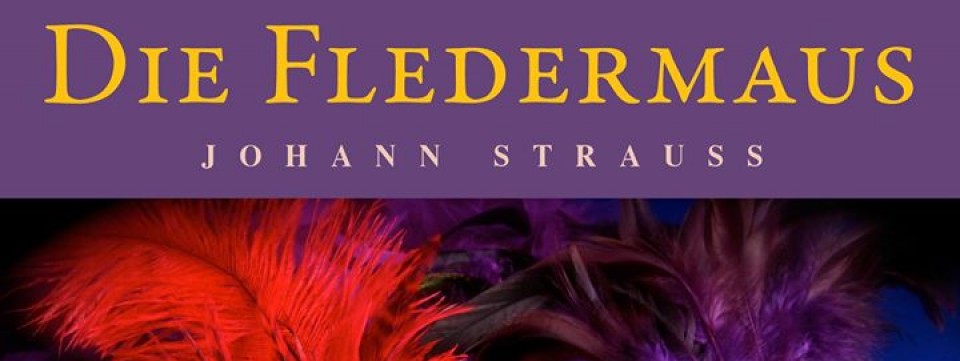 Nhạc kịch / Operetta "CON DƠI - Die Flerdermaus"