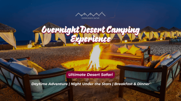 Overnight Desert Camping Experience