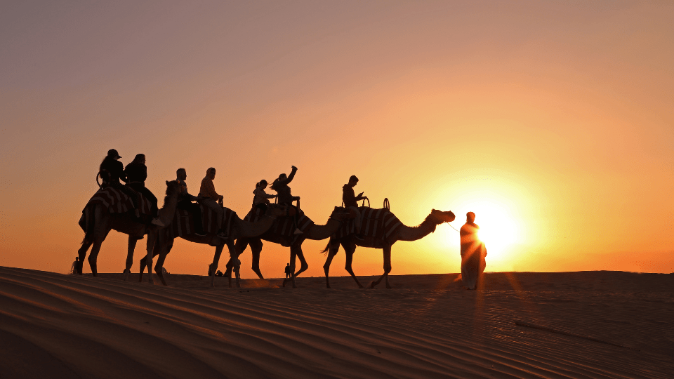 Overnight Red Dune Desert Safari with Dune Bashing, BBQ & Breakfast