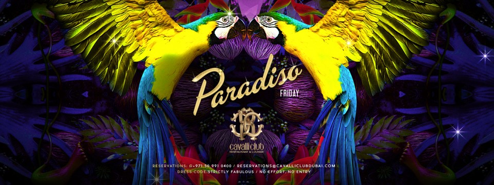 Paradiso Friday
