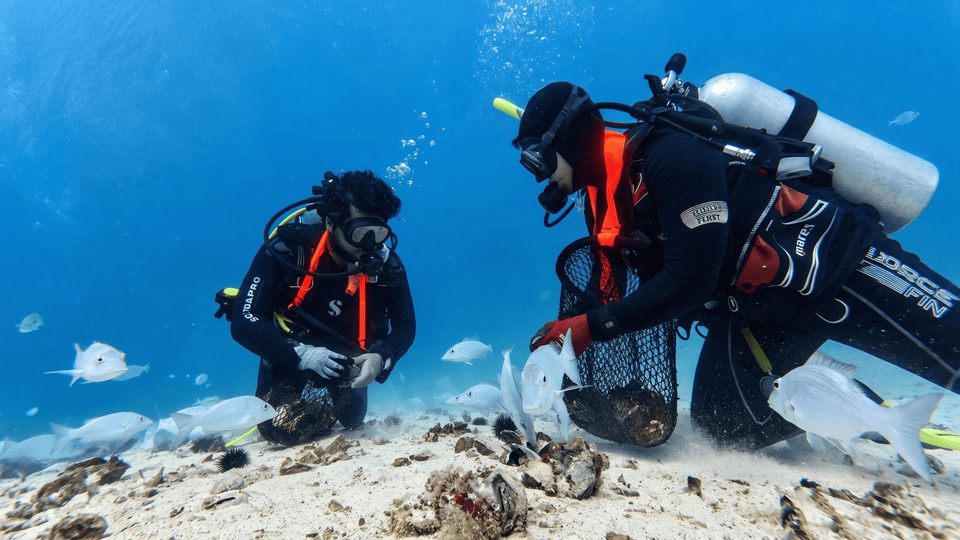 Pearl Diving