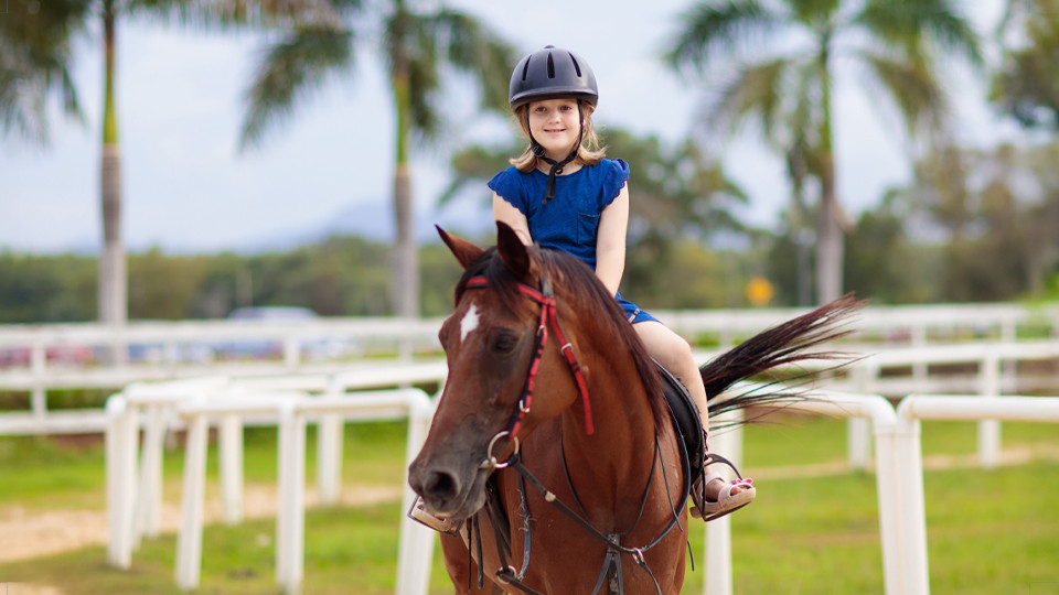 Pony Ride at Al Forsan