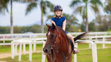 Pony Ride at Al Forsan