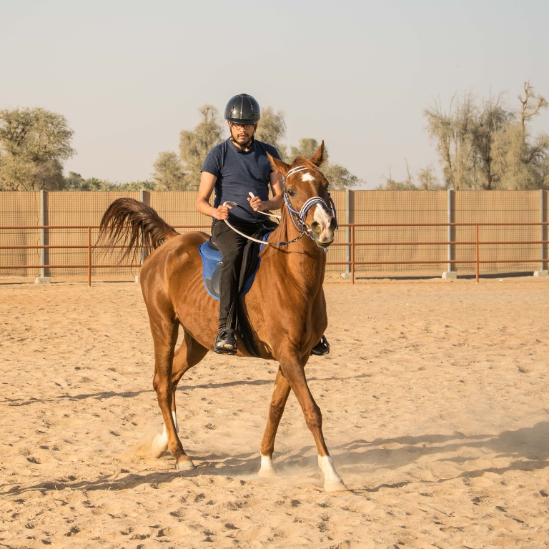 Another view of Horse Riding At Mleiha Arena at Mleiha Archaeological Centre