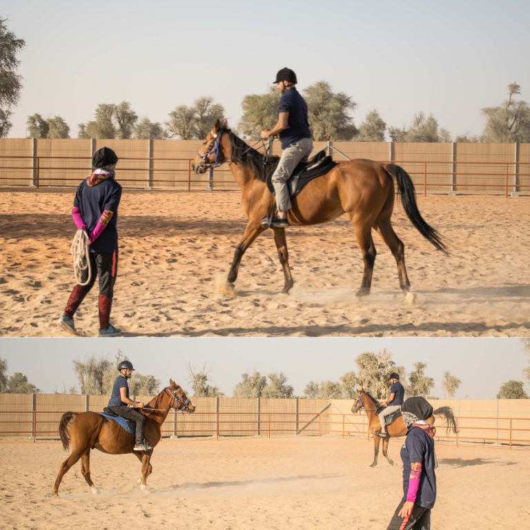 Horse Riding Training Course One Session